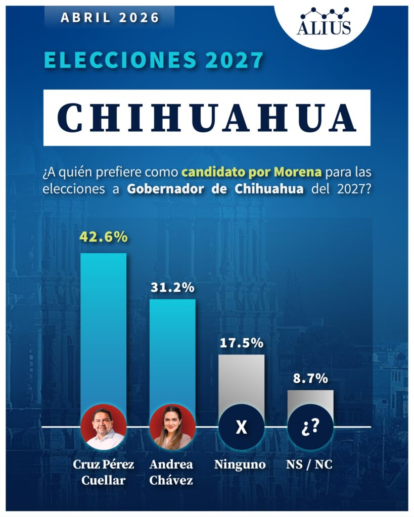 Chihuahua 10