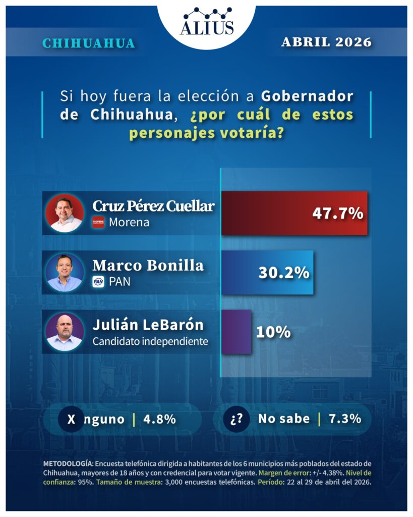 Chihuahua 12