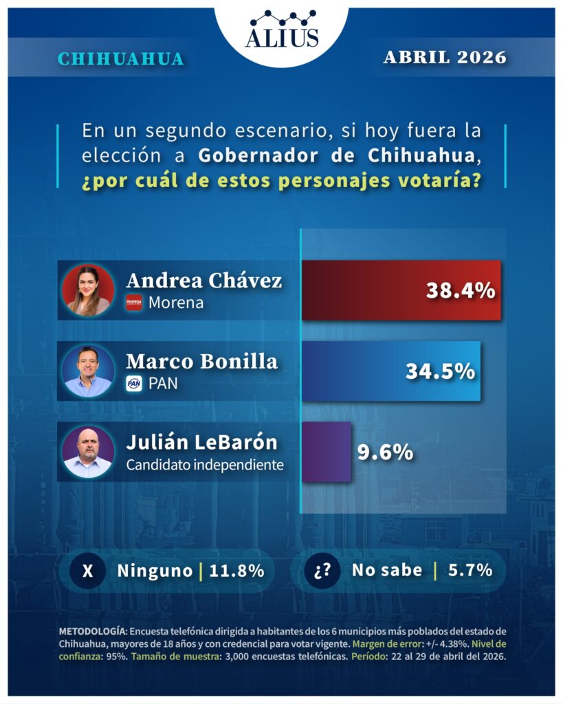 Chihuahua 13